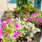 Hotel Abi Inn By Geh Suites